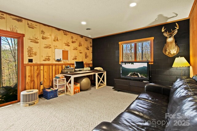 675 Rodgers Rd, Newland, NC 28657 - carpeted living area featuring a textured ceiling, wainscoting, visible vents, recessed lighting, and crown molding