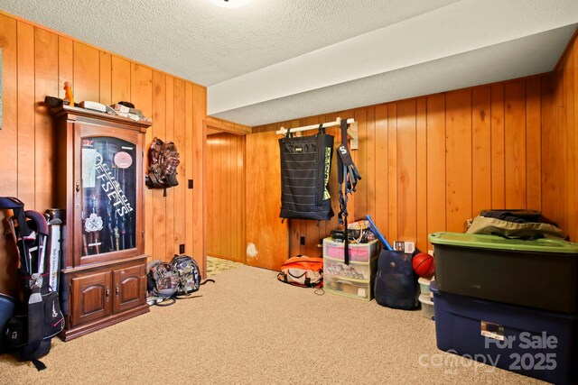 675 Rodgers Rd, Newland, NC 28657 - playroom featuring wood walls, a textured ceiling, and carpet