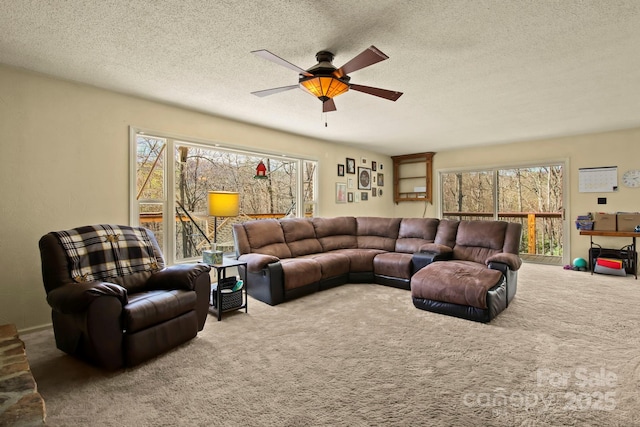 675 Rodgers Rd, Newland, NC 28657 - living area with carpet, a wealth of natural light, and ceiling fan