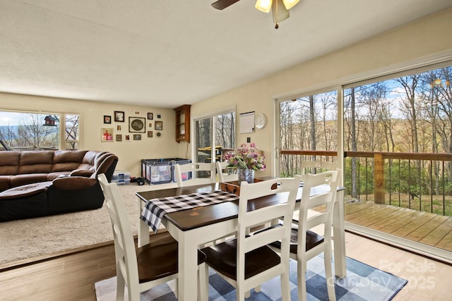 675 Rodgers Rd, Newland, NC 28657 - dining space with ceiling fan and wood finished floors