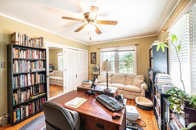 310 1st St NE, Hickory, NC 28601 - office space featuring a ceiling fan, wood finished floors, and crown molding