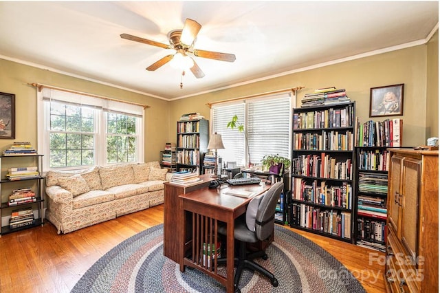 310 1st St NE, Hickory, NC 28601 - office space featuring wood finished floors, a ceiling fan, and ornamental molding