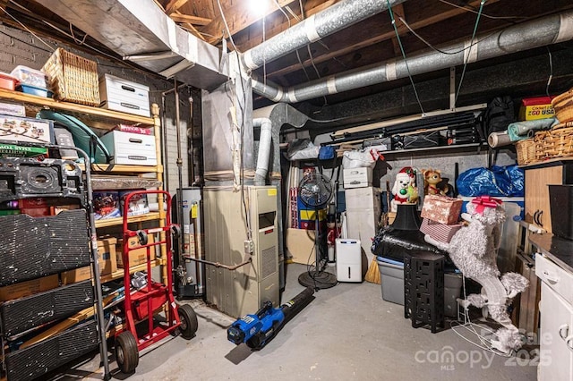 310 1st St NE, Hickory, NC 28601 - storage featuring gas water heater