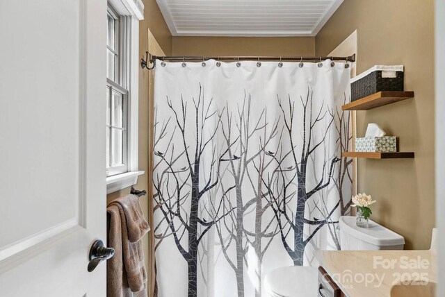 interior space featuring vanity, toilet, and a shower with curtain