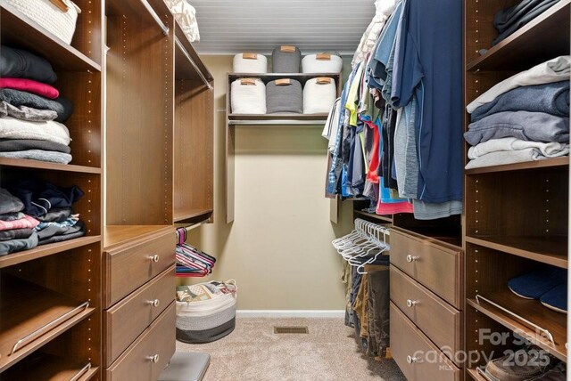 spacious closet with carpet flooring and visible vents