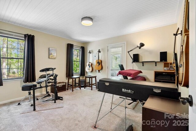 office featuring plenty of natural light, baseboards, and carpet floors
