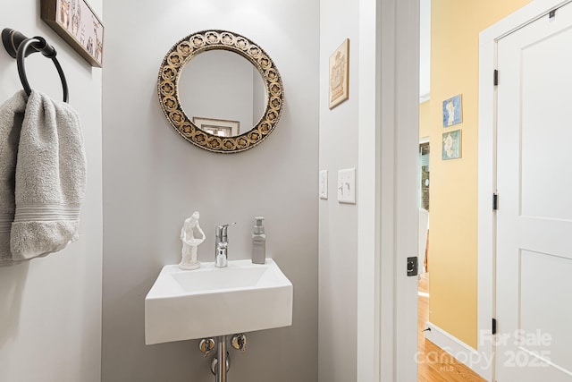 bathroom with wood finished floors and a sink