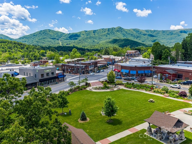 19 Tudor Way, Black Mountain, NC 28711 - mountain view