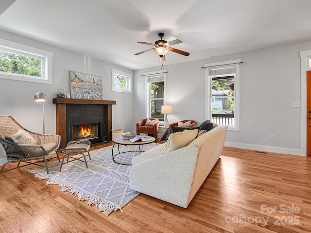 36 Richie St, Asheville, NC 28801 - photo 5