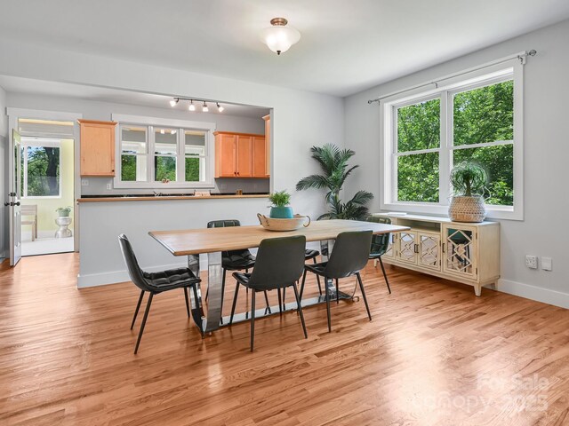36 Richie St, Asheville, NC 28801 - photo 7