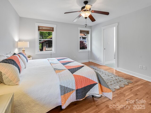 36 Richie St, Asheville, NC 28801 - photo 19