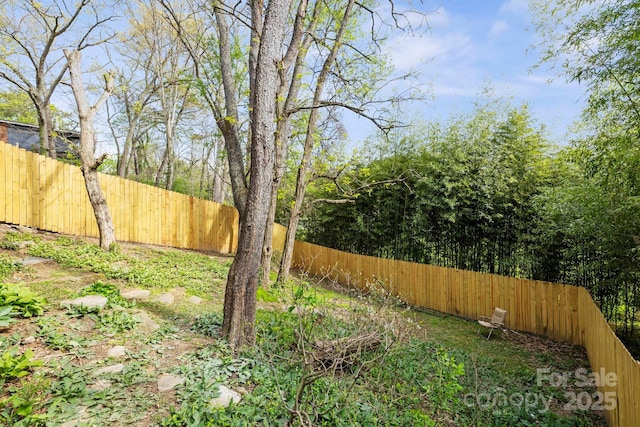 36 Richie St, Asheville, NC 28801 - photo 28
