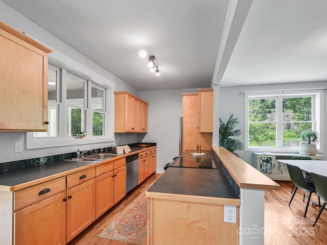 36 Richie St, Asheville, NC 28801 - photo 9