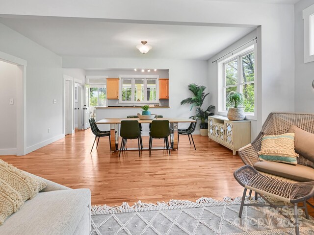 36 Richie St, Asheville, NC 28801 - photo 6