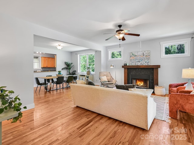 36 Richie St, Asheville, NC 28801 - photo 4