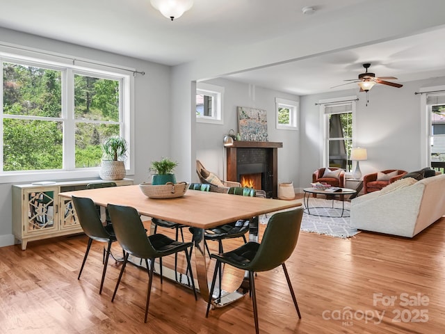 36 Richie St, Asheville, NC 28801 - photo 8