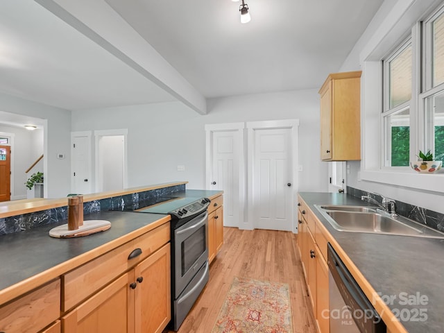 36 Richie St, Asheville, NC 28801 - photo 11