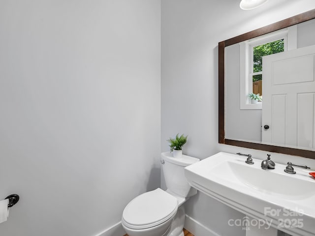 36 Richie St, Asheville, NC 28801 - photo 16