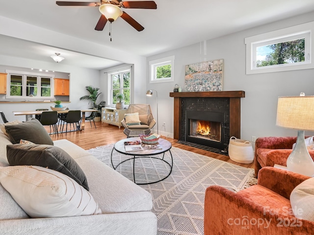 36 Richie St, Asheville, NC 28801 - photo 2