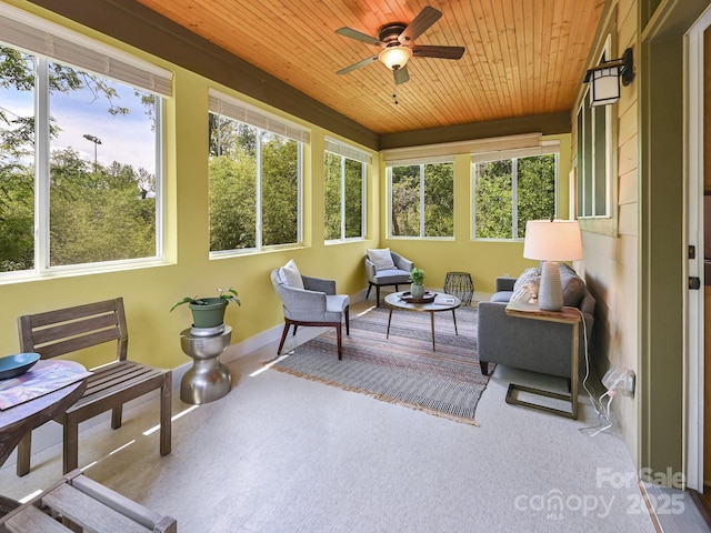 36 Richie St, Asheville, NC 28801 - photo 13