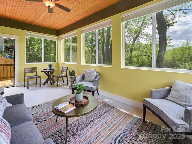 36 Richie St, Asheville, NC 28801 - photo 15