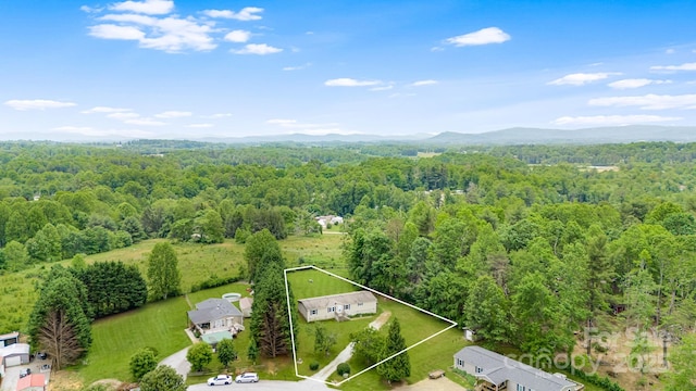 37 Bittersweet Dr, Hendersonville, NC 28792 - view of property location featuring a forest, property parcel outlined, and mountains