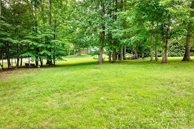 4897 Calico Rd, Lenoir, NC 28645 - view of grassy yard