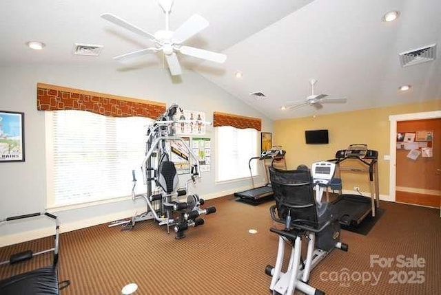 20 Brookstone Pl, Candler, NC 28715 - workout area featuring ceiling fan, lofted ceiling, carpet floors, and recessed lighting