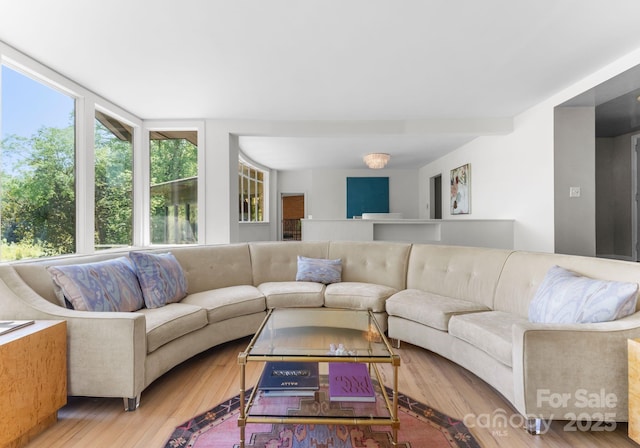 916 E Park Dr, Lincolnton, NC 28092 - living area featuring wood finished floors