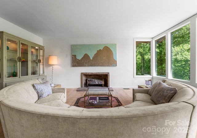 916 E Park Dr, Lincolnton, NC 28092 - living room with wood finished floors, baseboards, and a fireplace with raised hearth