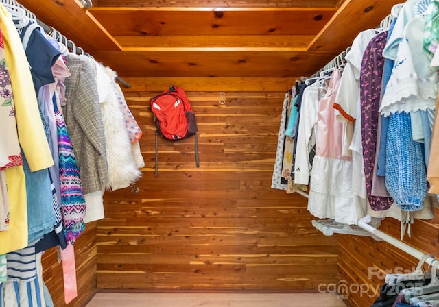 916 E Park Dr, Lincolnton, NC 28092 - view of spacious closet