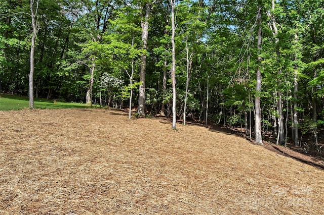 view of local wilderness