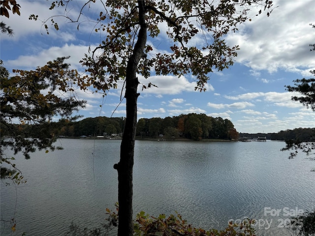 water view featuring a wooded view