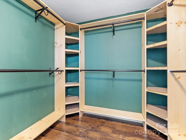 walk in closet featuring wood finished floors