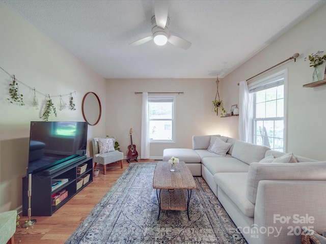 215 6th St, Belmont, NC 28012 - living area with plenty of natural light, light wood-style flooring, and ceiling fan