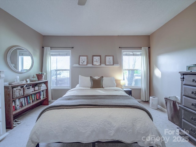 215 6th St, Belmont, NC 28012 - bedroom featuring carpet floors, multiple windows, a ceiling fan, and baseboards