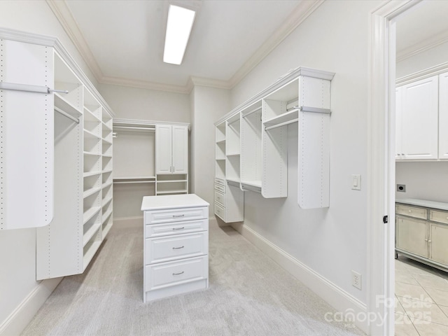 spacious closet with light colored carpet