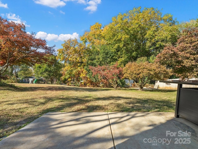 view of yard with a patio area