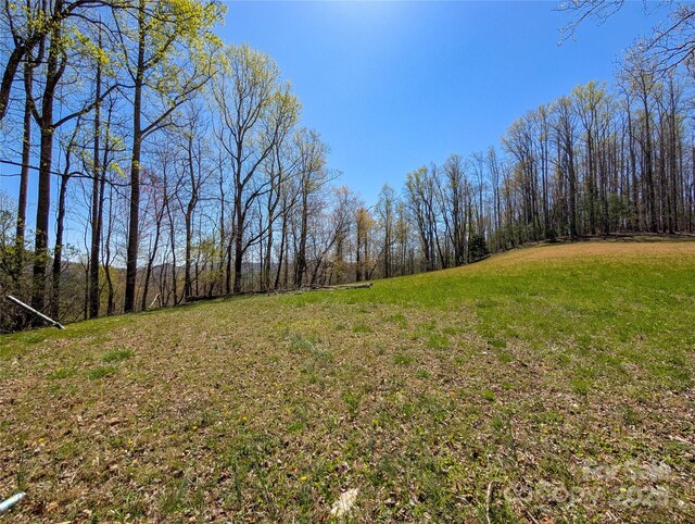 view of yard featuring a wooded view