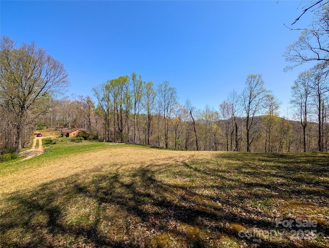 view of yard with a forest view