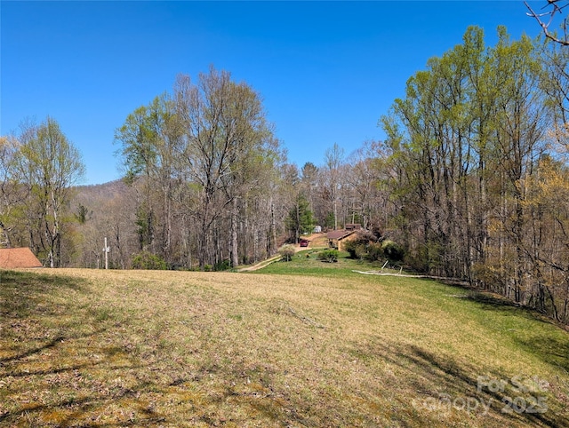 view of yard featuring a view of trees