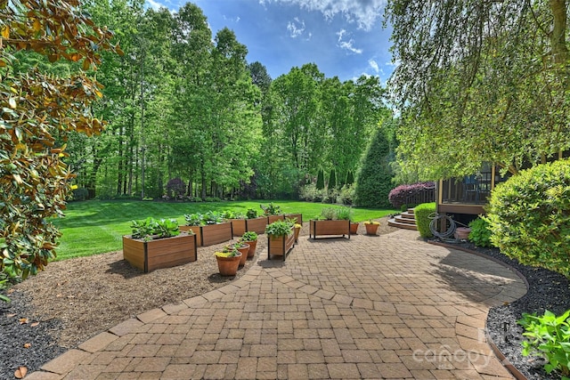 view of patio featuring a vegetable garden