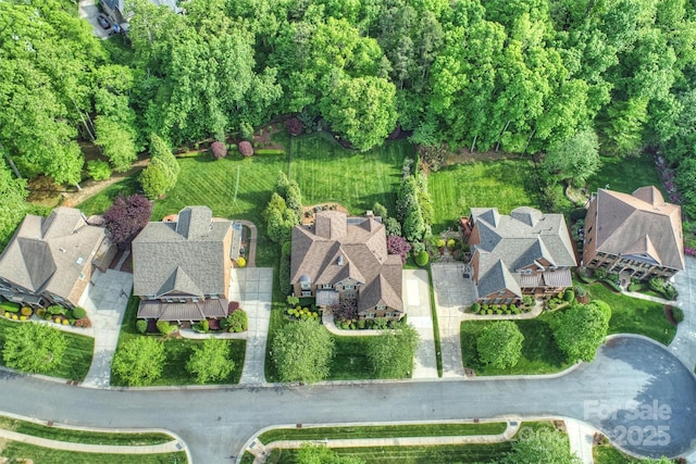 drone / aerial view
