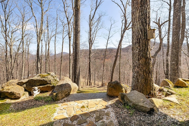 view of yard with a mountain view