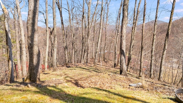 view of landscape