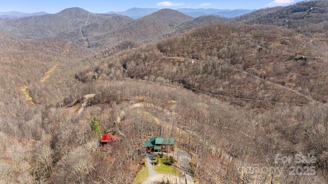 drone / aerial view featuring a mountain view