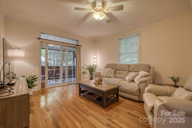 3 Kensington Ct, Granite Falls, NC 28630 - living room featuring crown molding, baseboards, ceiling fan, and light wood finished floors