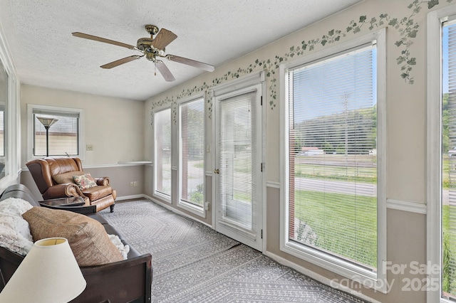 137 Clint Lewis Rd, Boone, NC 28607 - sunroom / solarium featuring a textured ceiling, healthy amount of natural light, baseboards, and carpet flooring