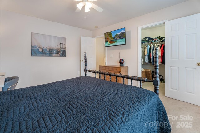 bedroom featuring a walk in closet, a ceiling fan, light carpet, and a closet