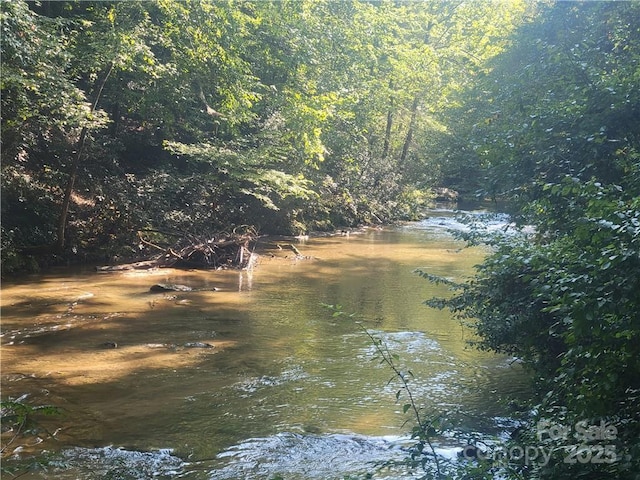 LOT5 Appaloosa Ln Unit 5, Tryon, NC 28782